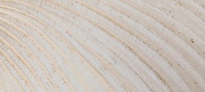 behnam-norouzi-q9e8XEaISsg-unsplash