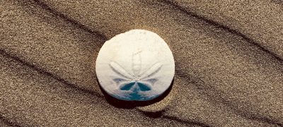 laura-summers-2nUeKygEzEI-unsplash