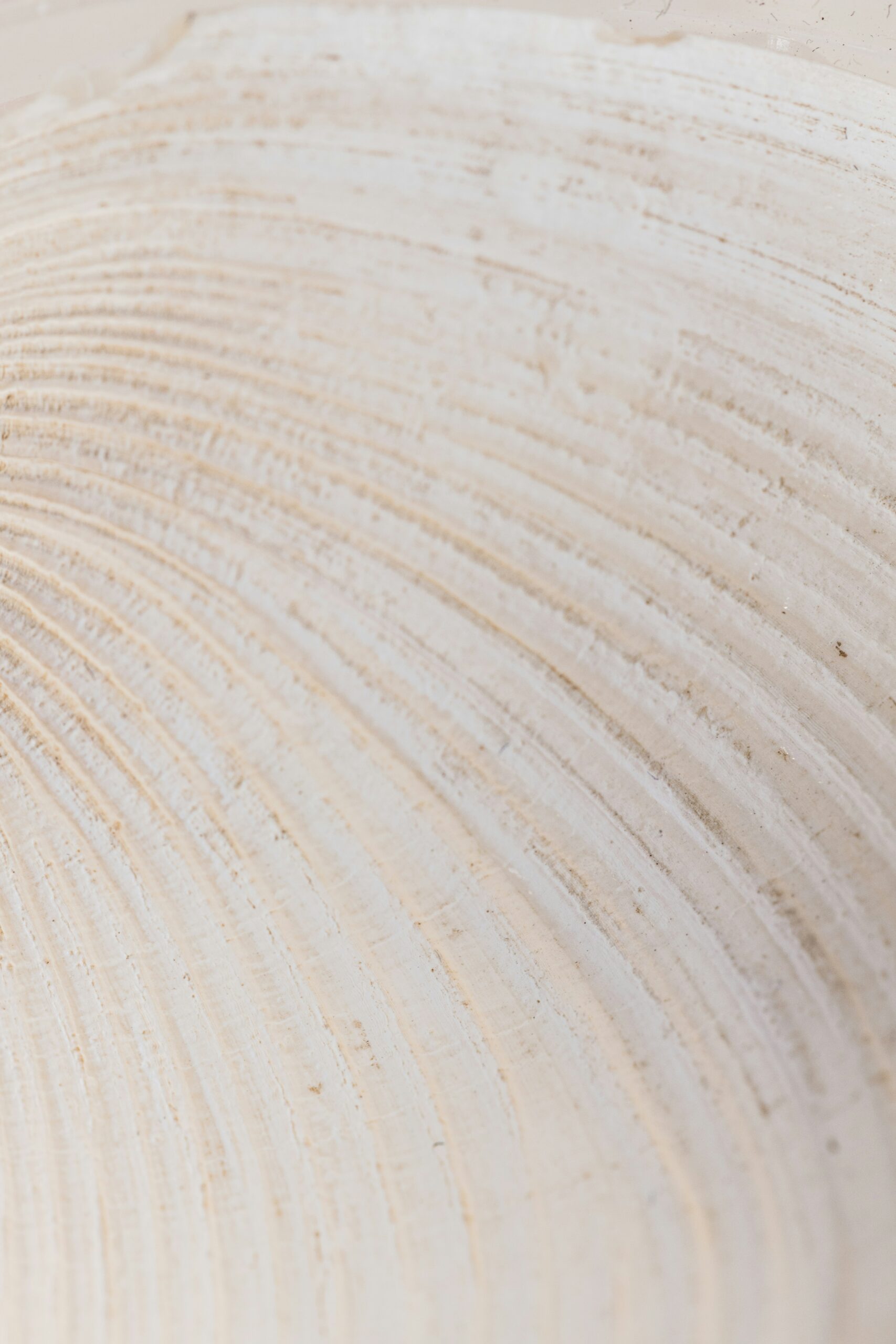 behnam-norouzi-q9e8XEaISsg-unsplash